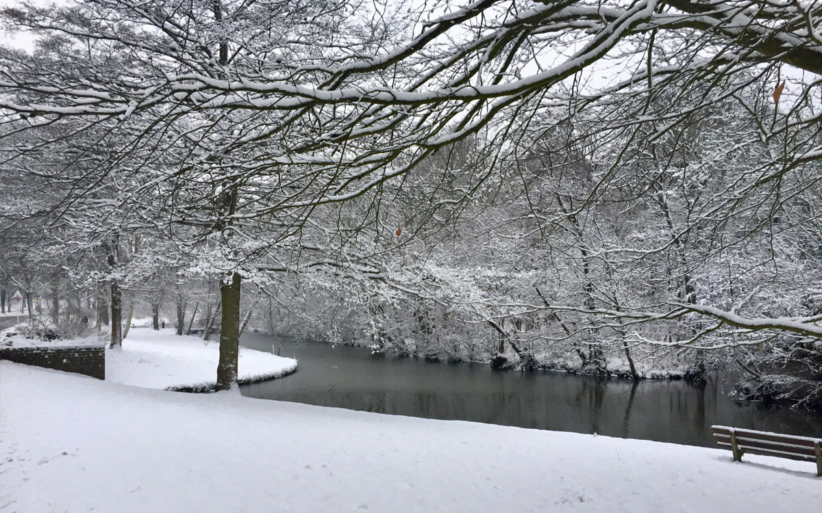 Bankje met uitzicht op sneeuw