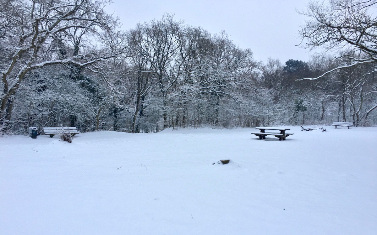 sfeerbeeld-besneeuwde-open-plek