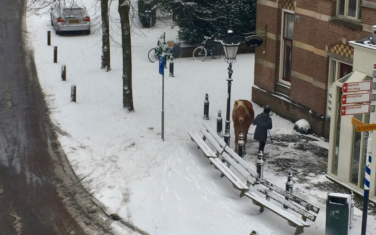 Boodschappen doen per paard