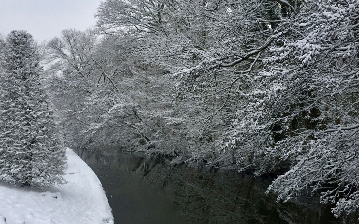 sfeerbeeld-sloot-met-besneeuwde-bomen