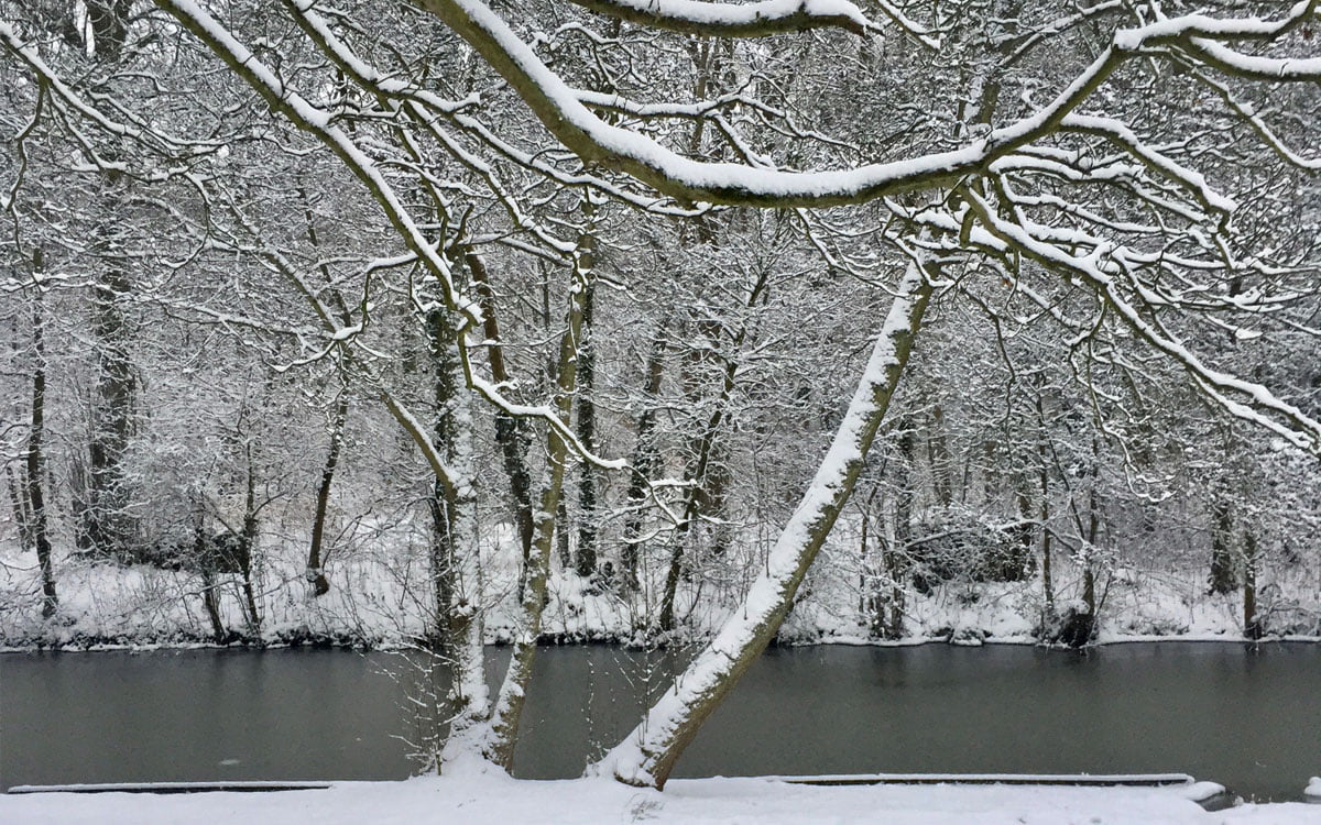 sfeerbeeld-takken-met-sneeuw